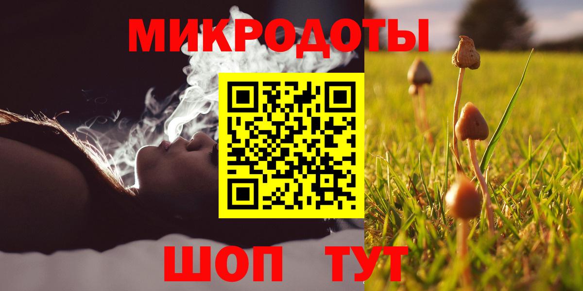 Галлюциногенные грибы Cubensis  Вход с VPN  купить наркоту  Павлово  Галлюциногенные грибы Psilocybe 
