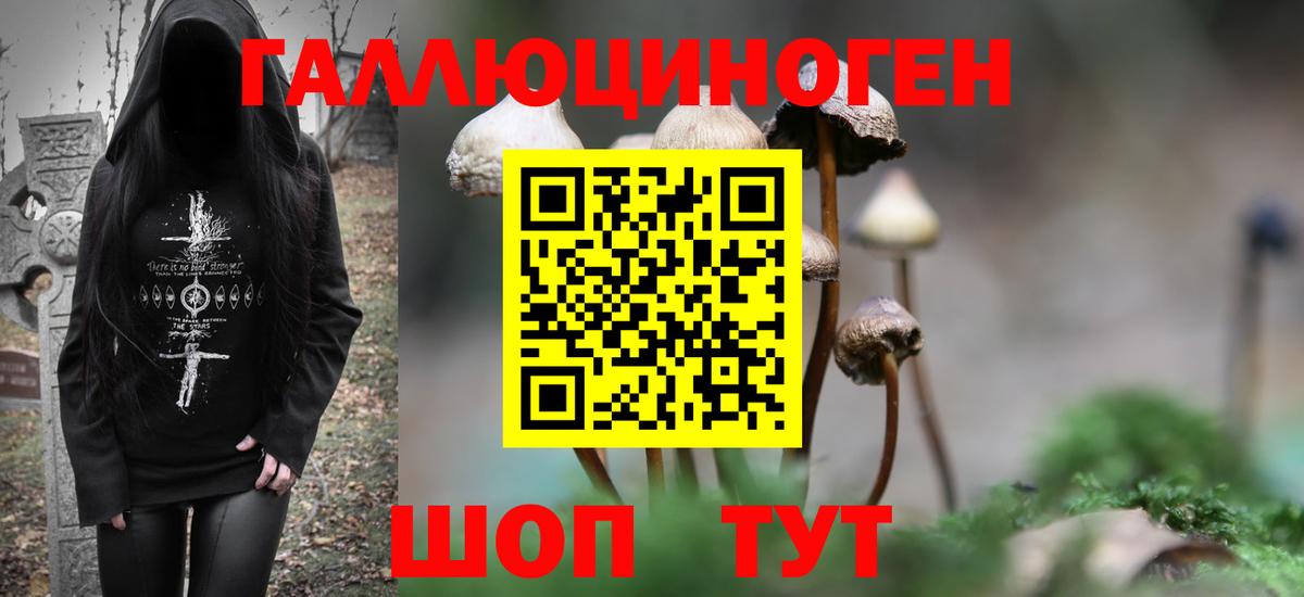 Галлюциногенные грибы Magic Shrooms Павлово
